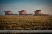 Combines at Sunrise
