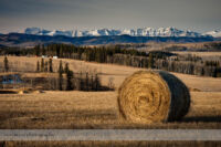 Foothills Bale with Mountain Backdrop