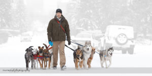 Pawsitively Natural Dog Daycare