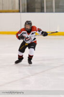 99 Dawgs Hockey Club