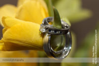 Josephs  Van der Veen Wedding