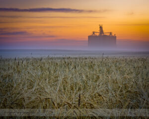 Grain Elevator on the Prairies