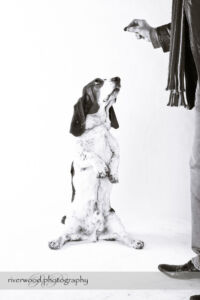 wpid3318-RP-7D_02481-Dog-Day.jpg