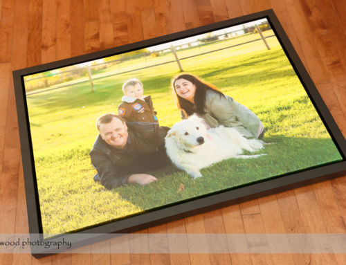 Product Showcase – Custom Floating Frames for Canvas Prints