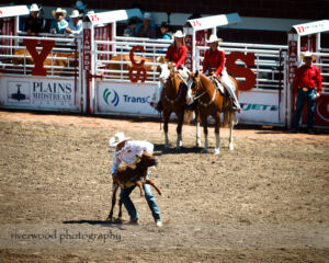 Calgary Stampede 2010