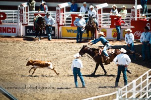 Calgary Stampede 2010
