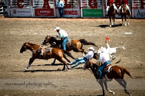 Calgary Stampede 2010