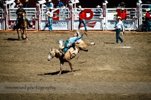 Calgary Stampede 2010