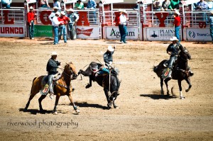 Calgary Stampede 2010