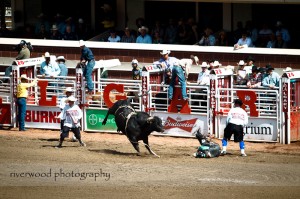 Calgary Stampede 2010