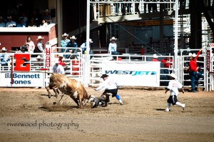 Calgary Stampede 2010