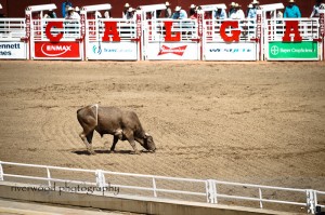 Calgary Stampede 2010