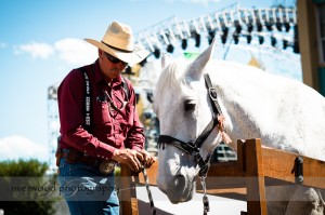 Calgary Stampede 2010
