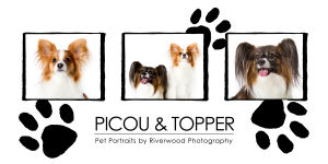 RP-3-Image-Wall-Panel---Picou-&-Topper-2--Wall-Panel
