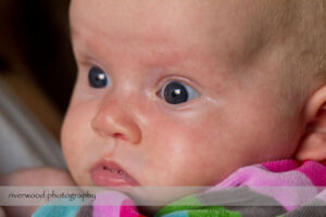 Ortman-Bridgman Family Portrait Session