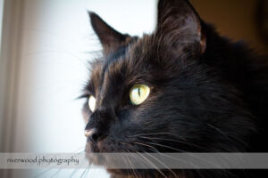 Ortman-Bridgman Family Portrait Session