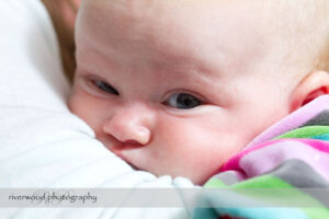 Ortman-Bridgman Family Portrait Session