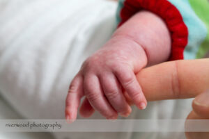Ortman-Bridgman Family Portrait Session