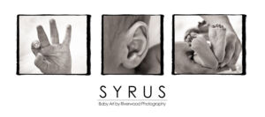 Baby Syrus - Baby Art Panoramic Wall Panel