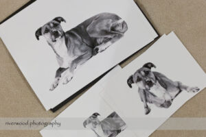 Dog Day Print Orders