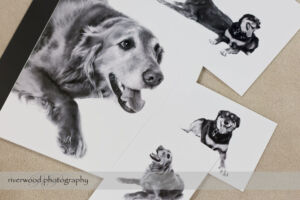 Dog Day Print Orders