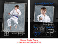 Deluxe Trader Cards - Karate