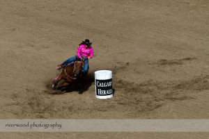 Calgary Stampede Rodeo