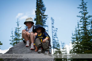 Hiking for Wild Strawberries