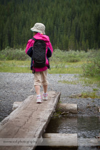 Hiking for Wild Strawberries