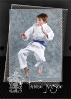 Deluxe Trader Cards - Picture Day at 5 Elements Martial Arts in Calgary