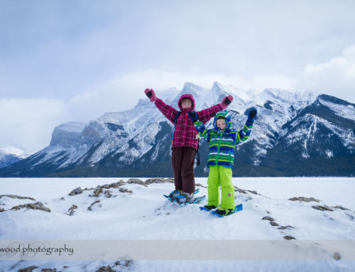 Ready for a Winter Portrait Session?