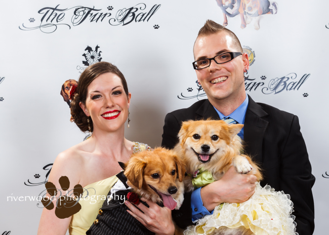 Fur Ball Red Carpet Pawperazzi Portraits
