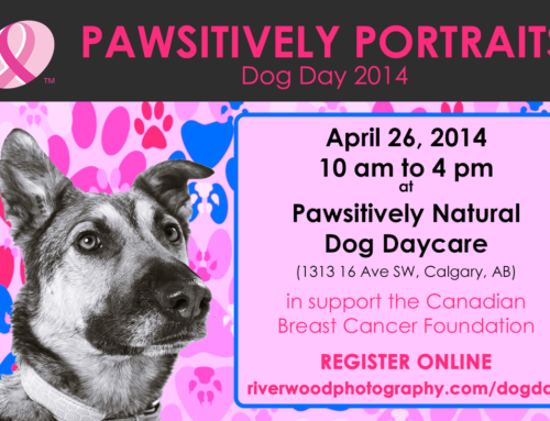 Dog Day 2014 is this Weekend!