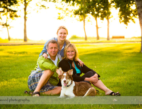 Updated Family Portrait Packages