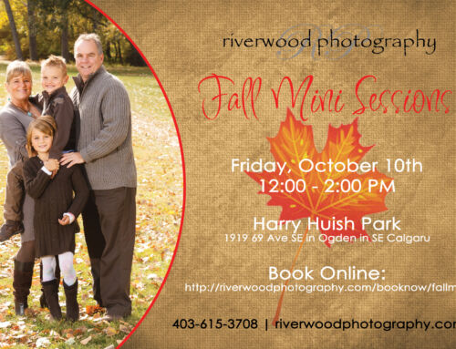 2014 Fall Family Mini Photography Sessions