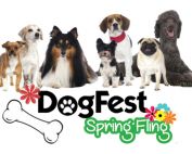 DogFest Spring Fling 2017